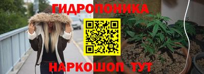 соль ск Партизанск