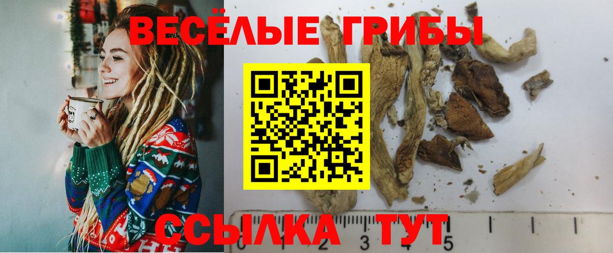 Шали  Галлюциногенные грибы GOLDEN TEACHER  Псилоцибиновые грибы ЛСД  Вход с VPN 